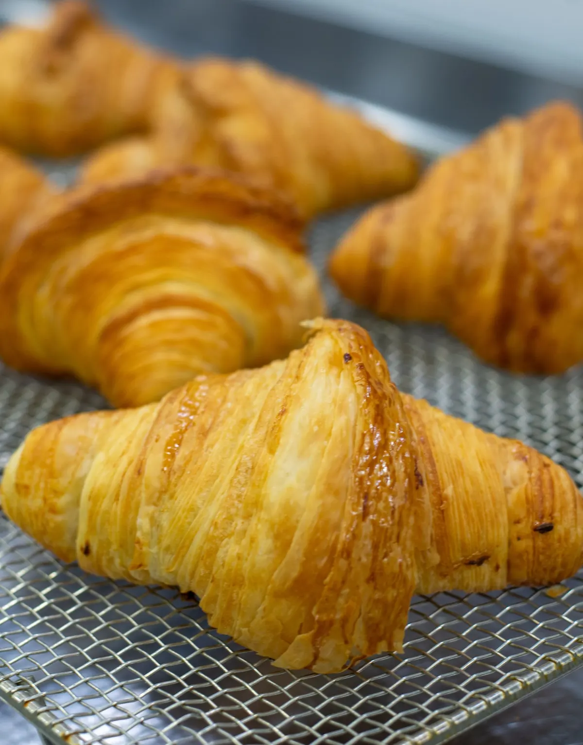 冷却ラックの上で粗熱をとるクロワッサン